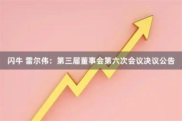 闪牛 雷尔伟：第三届董事会第六次会议决议公告
