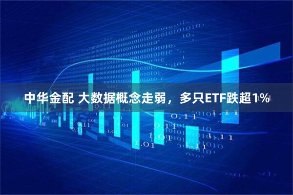 中华金配 大数据概念走弱，多只ETF跌超1%