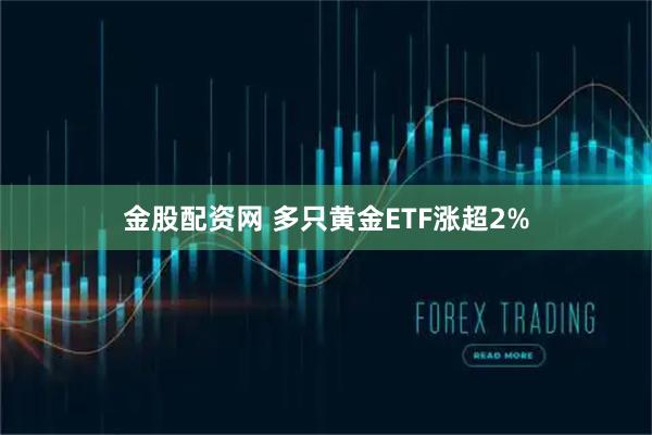 金股配资网 多只黄金ETF涨超2%