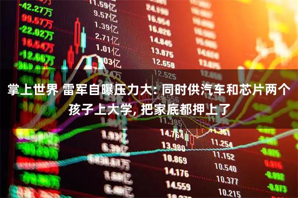 掌上世界 雷军自曝压力大: 同时供汽车和芯片两个孩子上大学, 把家底都押上了