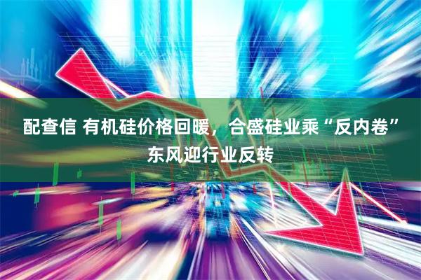配查信 有机硅价格回暖，合盛硅业乘“反内卷”东风迎行业反转