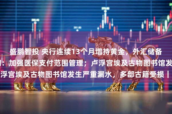 盛鹏智投 央行连续13个月增持黄金，外汇储备创近10年新高；两部门：加强医保支付范围管理；卢浮宫埃及古物图书馆发生严重漏水，多部古籍受损｜早报