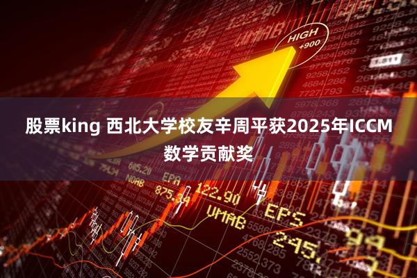 股票king 西北大学校友辛周平获2025年ICCM数学贡献奖